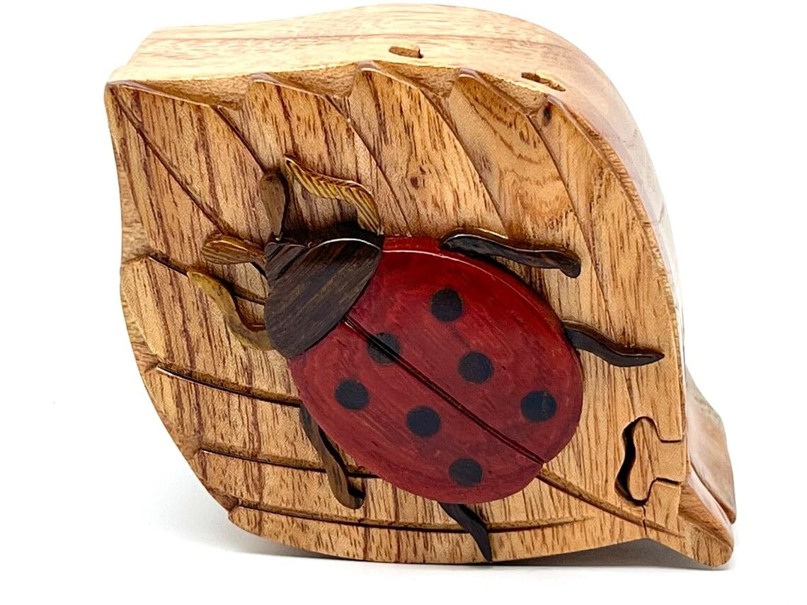 Lady Bug