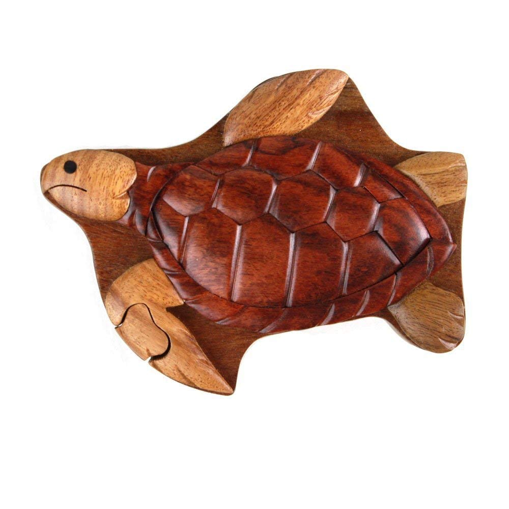 Sea Turtle