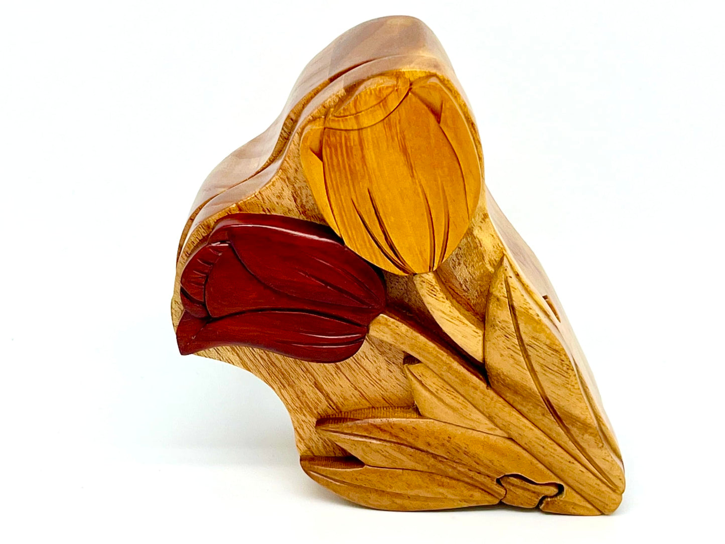 Tulip