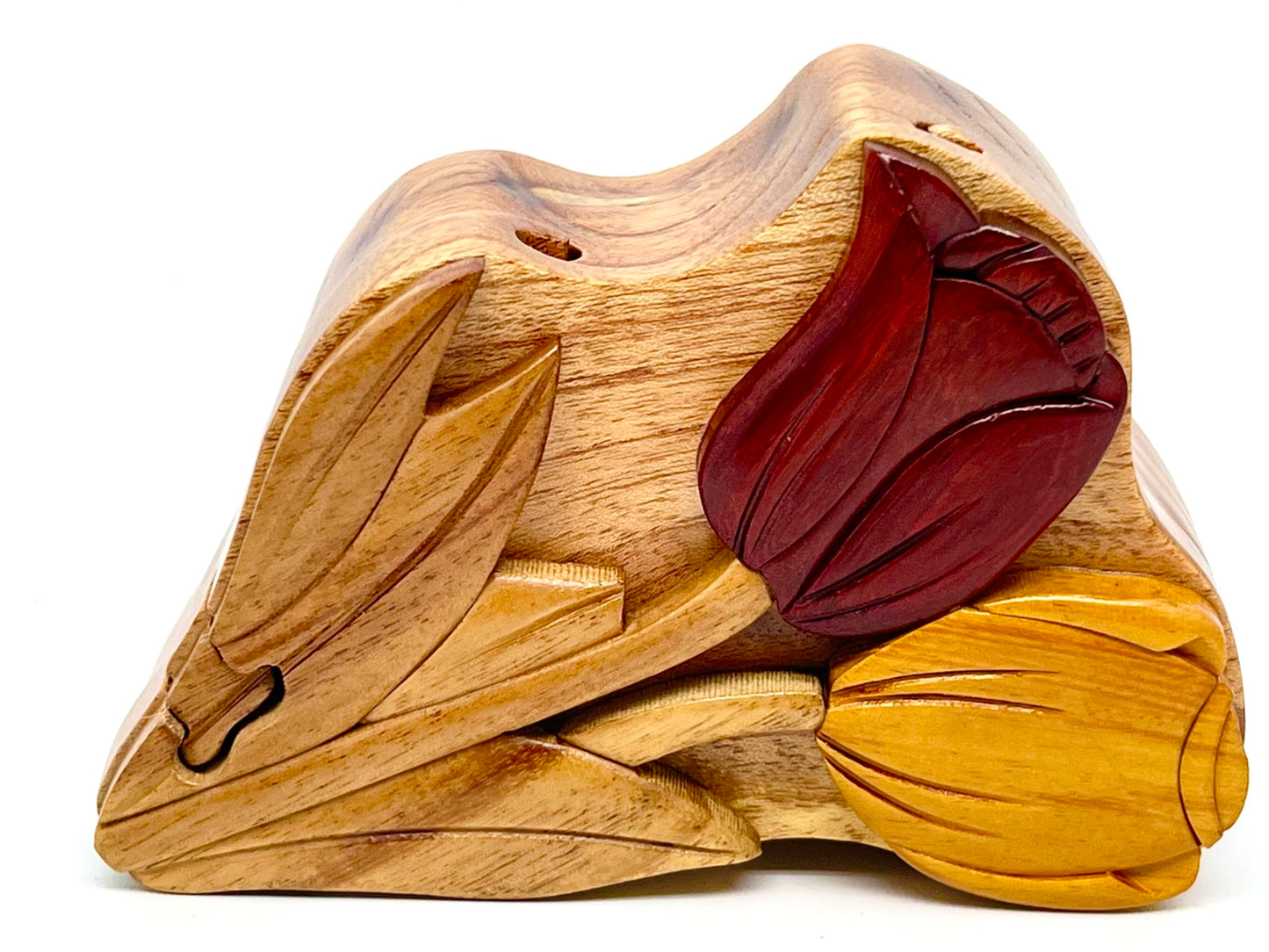 Tulip