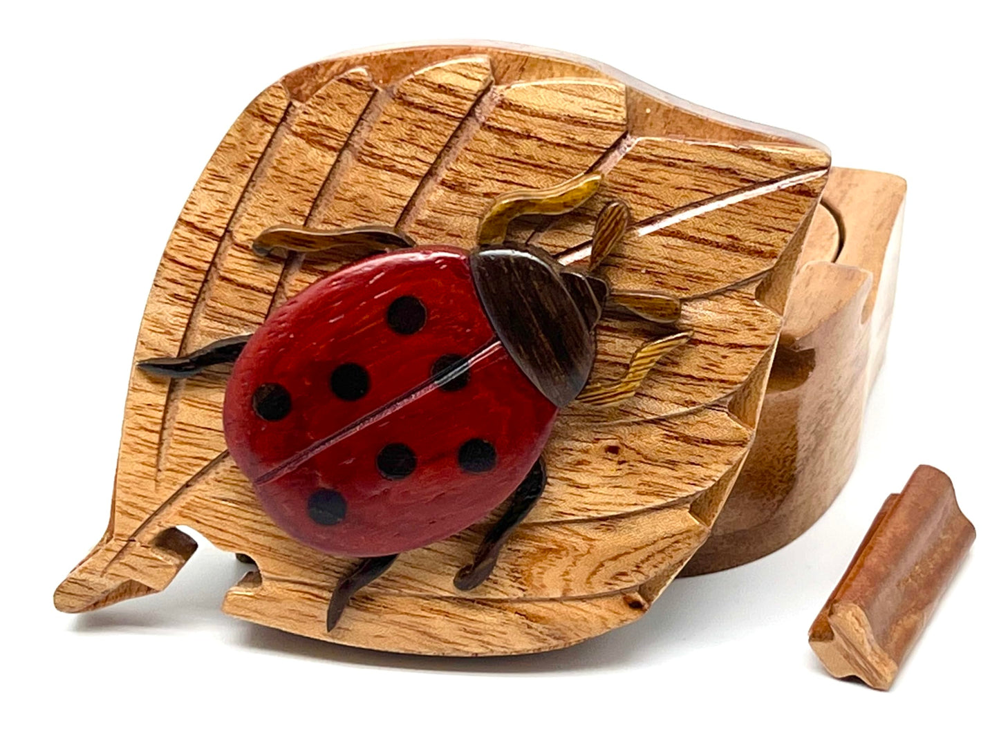 Lady Bug