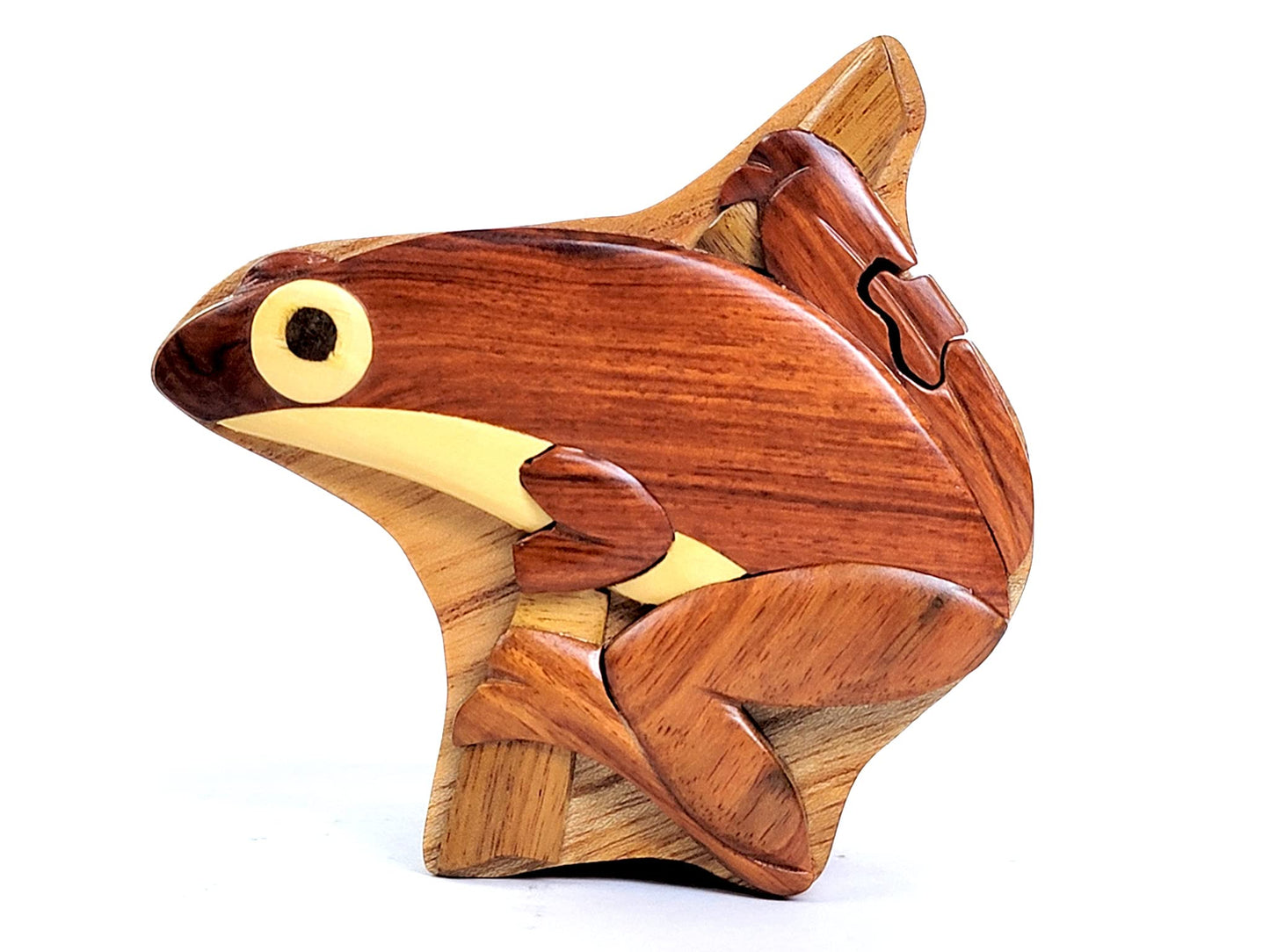 Tree Frog - Handmade Wooden Puzzle Box with Secret Compartment, All-Natural Intarsia Wood Art